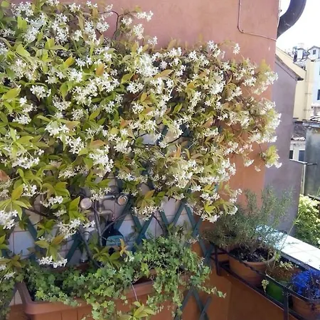 Ca' San Silvestro 2 Terrazze Nel Cuore Di Appartement
