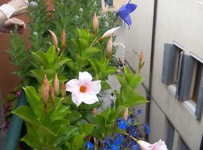 Ca' San Silvestro 2 Terrazze Nel Cuore Di Appartamento *