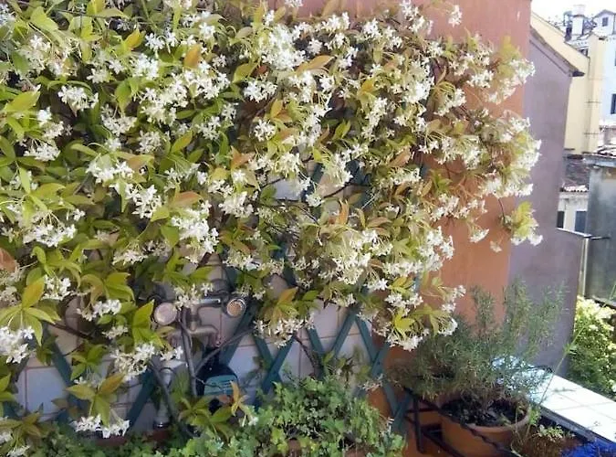 Ca' San Silvestro 2 Terrazze Nel Cuore Di Appartamento