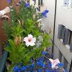 Ca' San Silvestro 2 Terrazze Nel Cuore Di דירה *